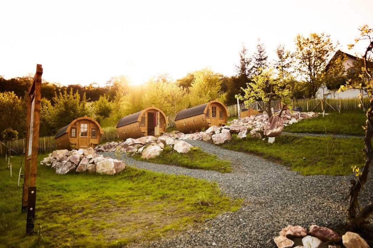 Mediaş Complex Butoaiele Transilvaniei - Cazare & Spa - Natura - Relaxare מראה חיצוני תמונה