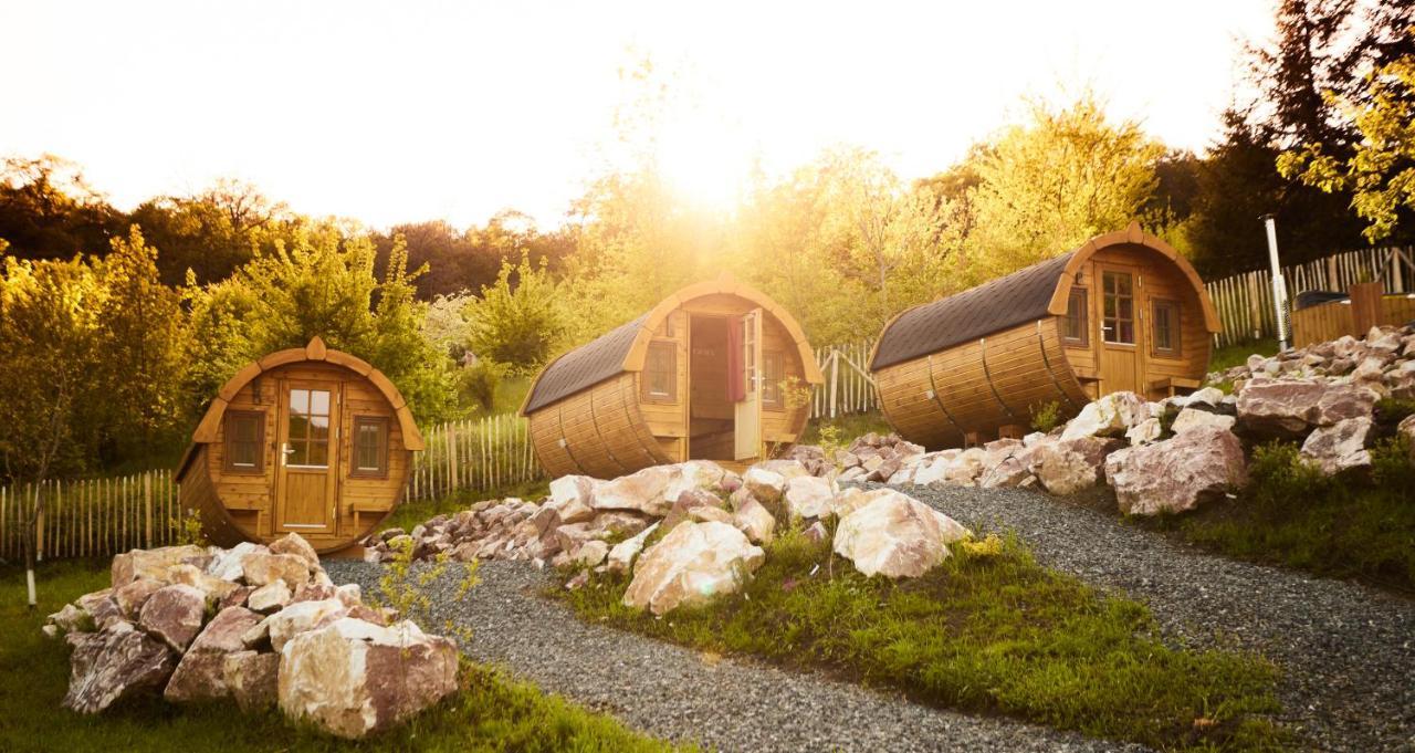 Mediaş Complex Butoaiele Transilvaniei - Cazare & Spa - Natura - Relaxare מראה חיצוני תמונה
